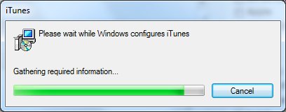 Stupid iTunes 10 Startup Window