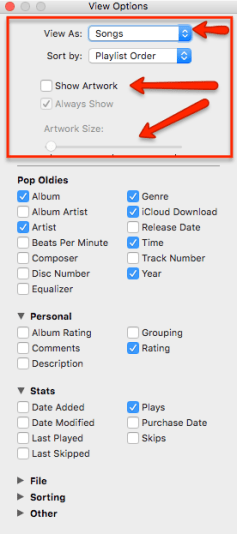 iTunesViewOptions