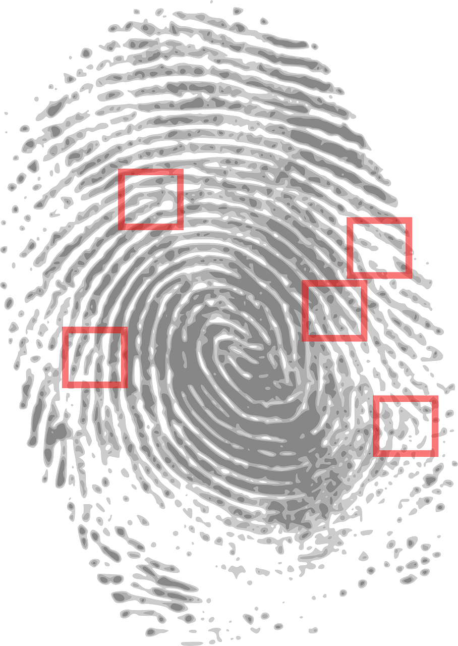 fingerprint