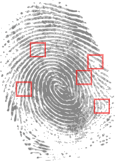 fingerprint
