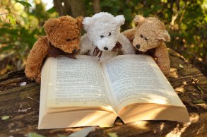 teddy-bear-book-read