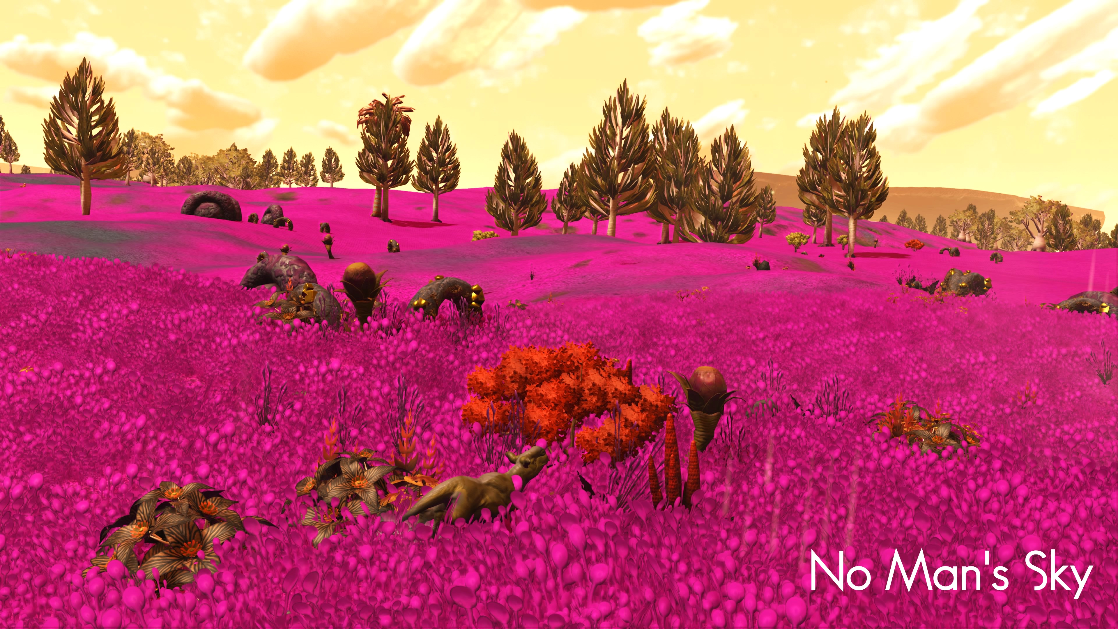 NoMansSky2